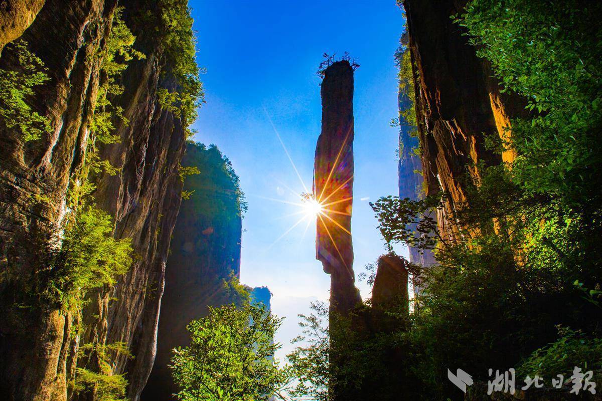 必发365乐趣网投